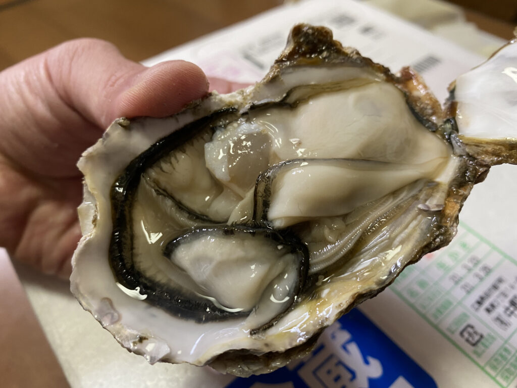 食べチョク　牡蠣